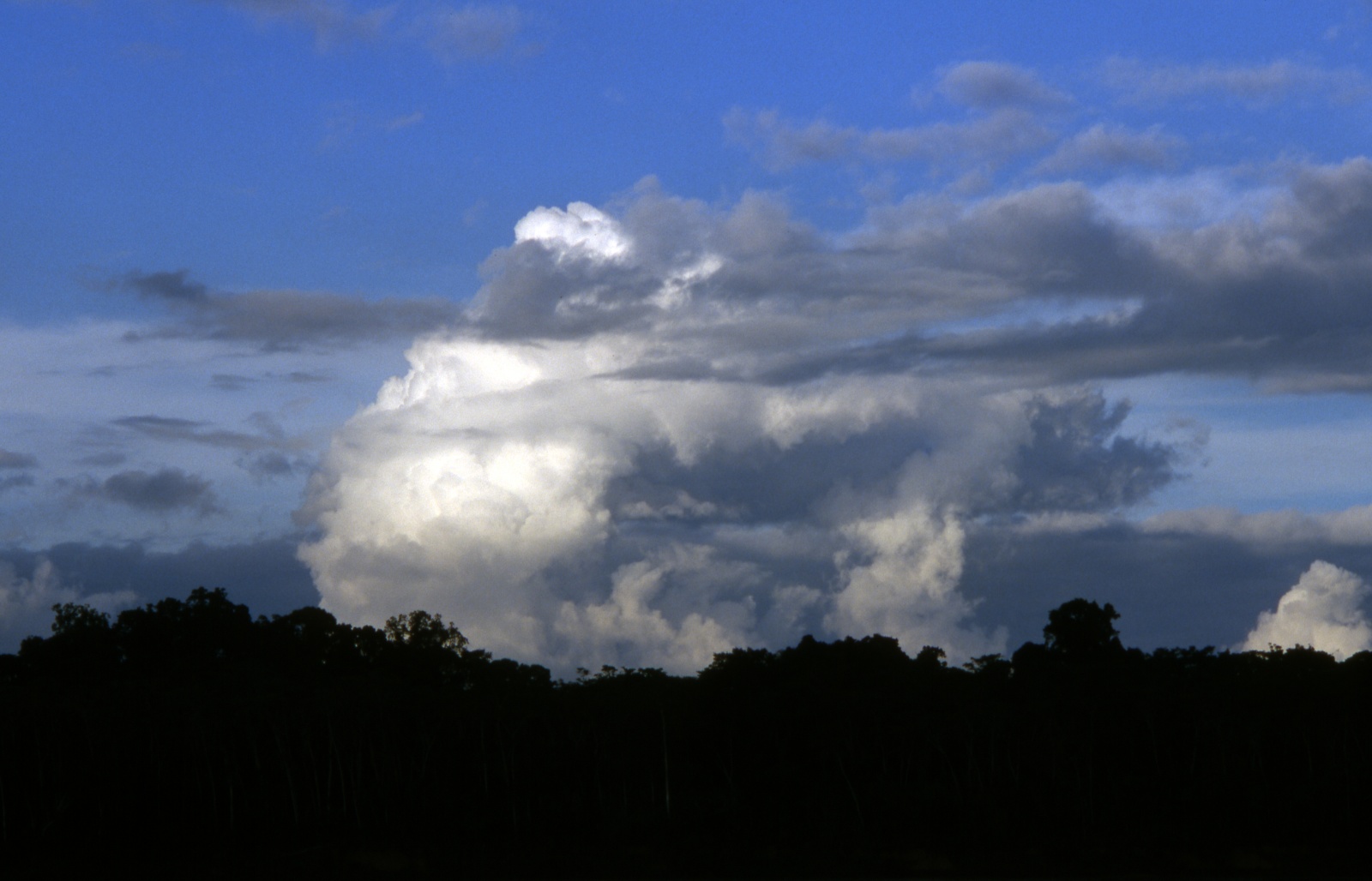 Amazon, Puerto Maldonado